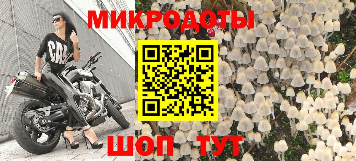 Псилоцибиновые грибы Cubensis Великие Луки