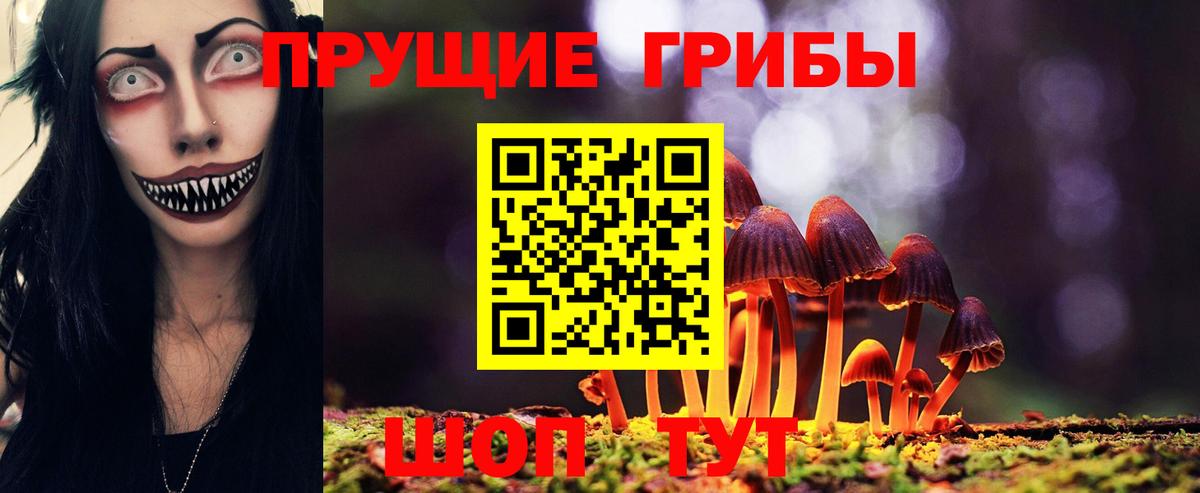 Великие Луки  Псилоцибиновые грибы мицелий  Вход с VPN 